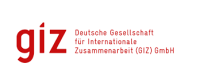 TECHNICAL MANAGER at GIZ